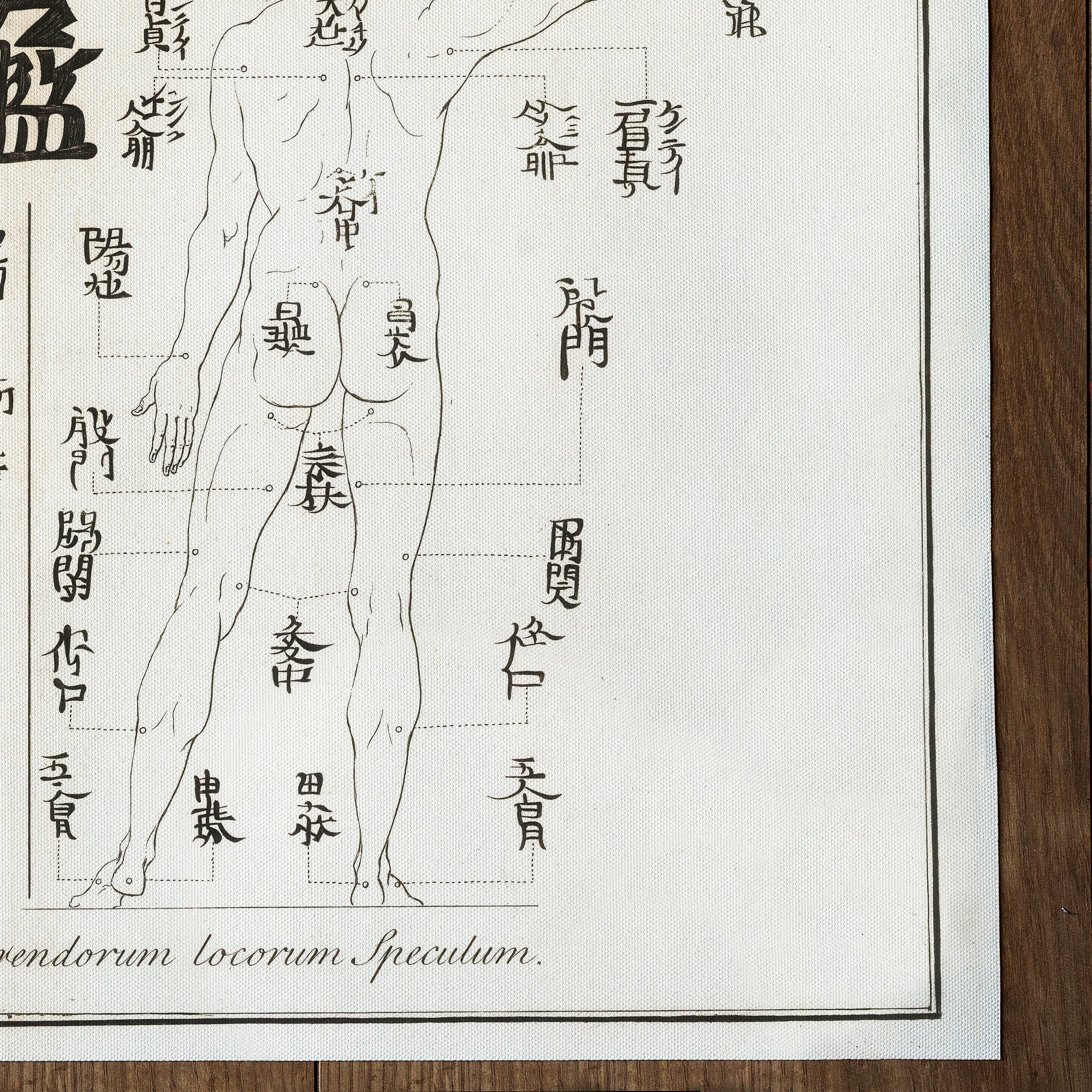 Acupuncture (1727)