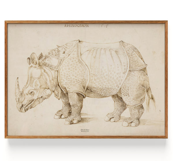 Rhinoceron (1515)