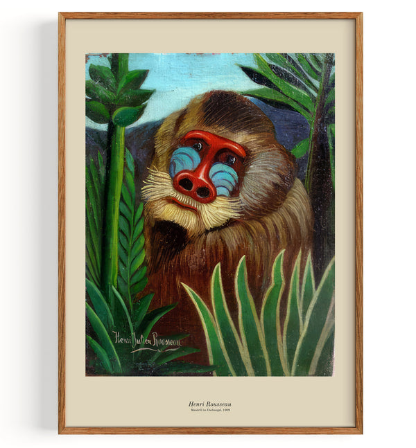 Mandrill im Dschungel (1909)