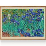 Irises (Front) (1889)