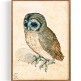 Kleine Eule (1471-1528)