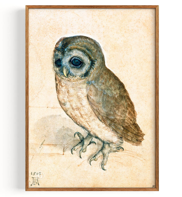 Kleine Eule (1471-1528)